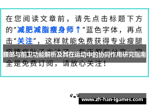 腰部与前卫功能解析及其在运动中的协同作用研究指南